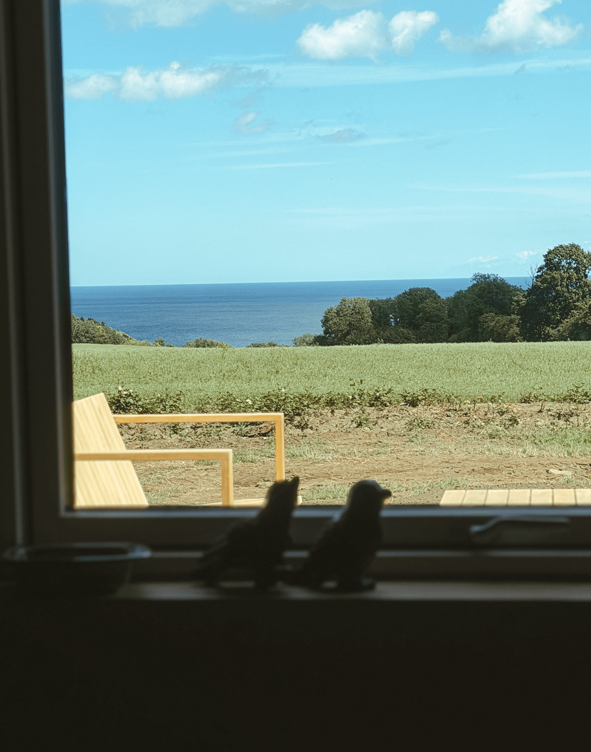 The farm & surroundings