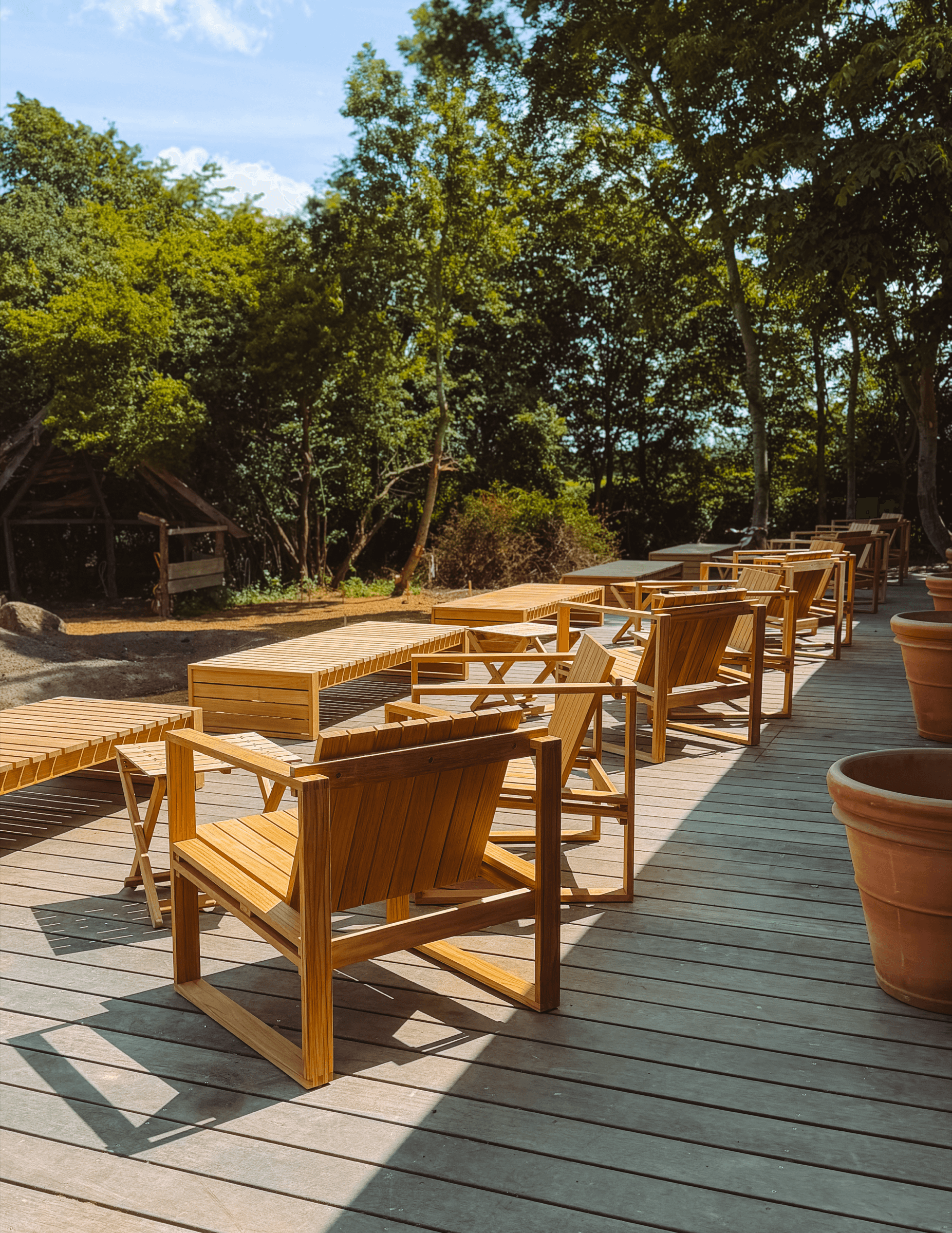 Solbeskinnet terrasse på Store Lærkegård med en rad af loungestole i egetræ under høje løvtræer